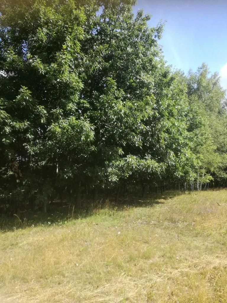 Kolonia Garbatówka, działka rolna, 3,18 ha!! - 3