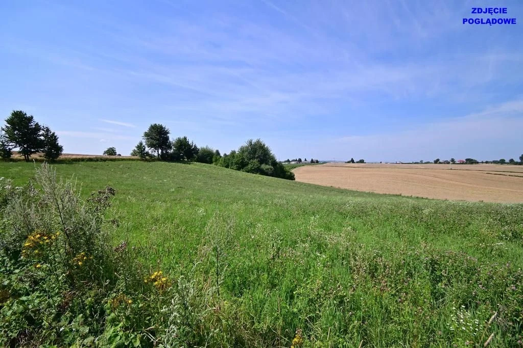Działka doskonała pod inwestycję - Nałęczów - 14ar - 5