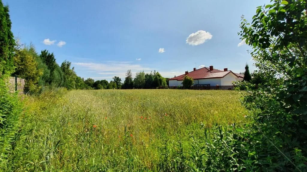 Dąbrowica, gm.Jastków. Plan zagospodarowania,media - 93778341.jpg