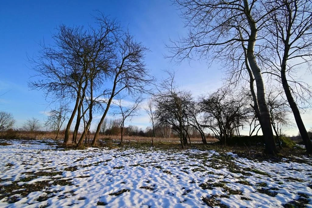 Gm. Wąwolnica - 100ar z projektem domu. - 5