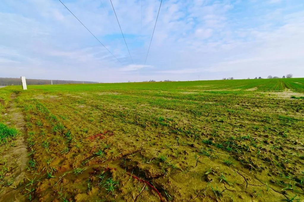 Działka 14ar pod zab. jednorodzinną - Zemborzyce - 4