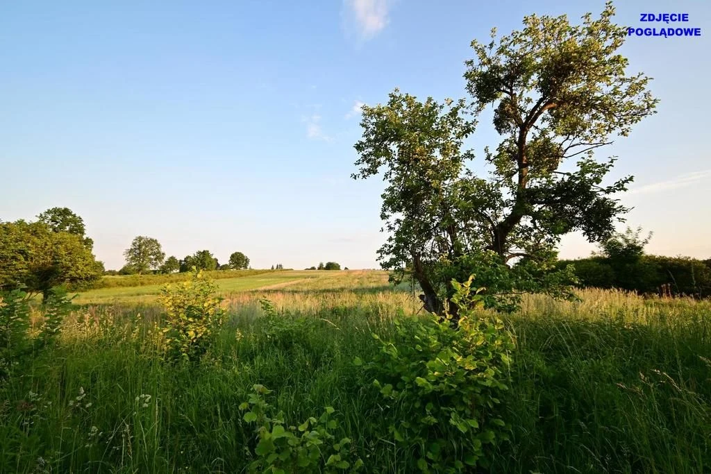 Piotrowice - działka 20 arów w doskonałej cenie! - 3