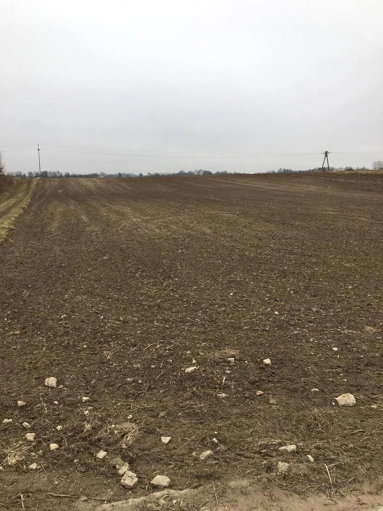 Działka 3000m2 Tomaszowice- Kolonia - 3