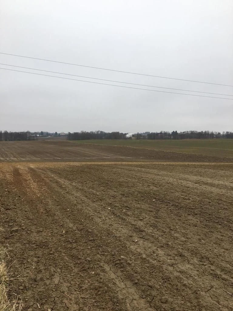 Działka 3000m2 Tomaszowice- Kolonia - 5