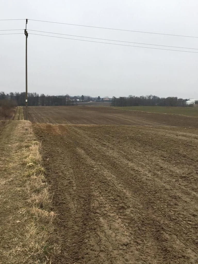 Działka 3000m2 Tomaszowice- Kolonia - 2
