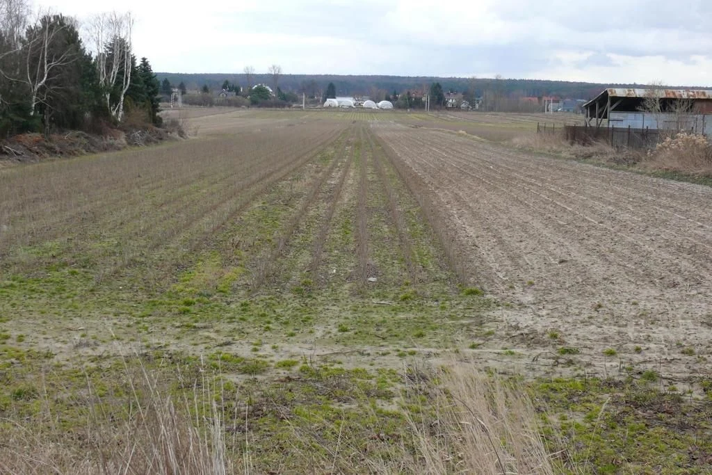 Działka w doskonałej lokalizacji-5 min. od Zalewu - 93780084.jpg