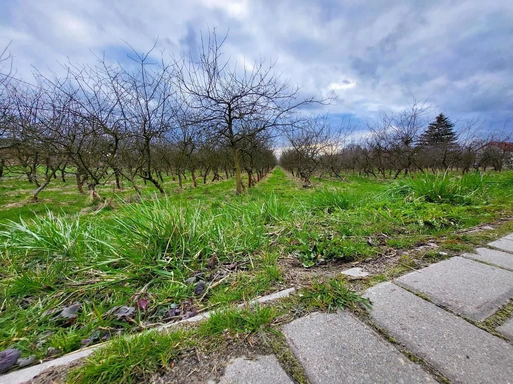 Motycz, - 30 ar - blisko szkoły, do wydzielenia - 93780290.jpg