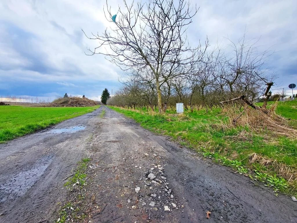 Motycz, - 30 ar - blisko szkoły, do wydzielenia - 2