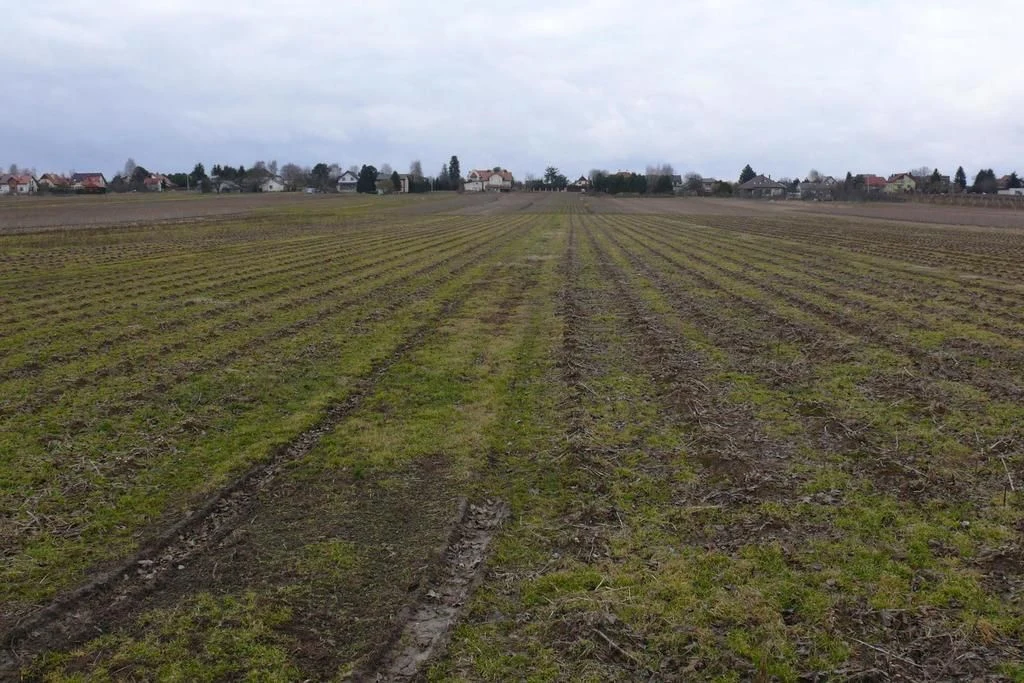 Działka w doskonałej lokalizacji-5 min. od Zalewu - 2
