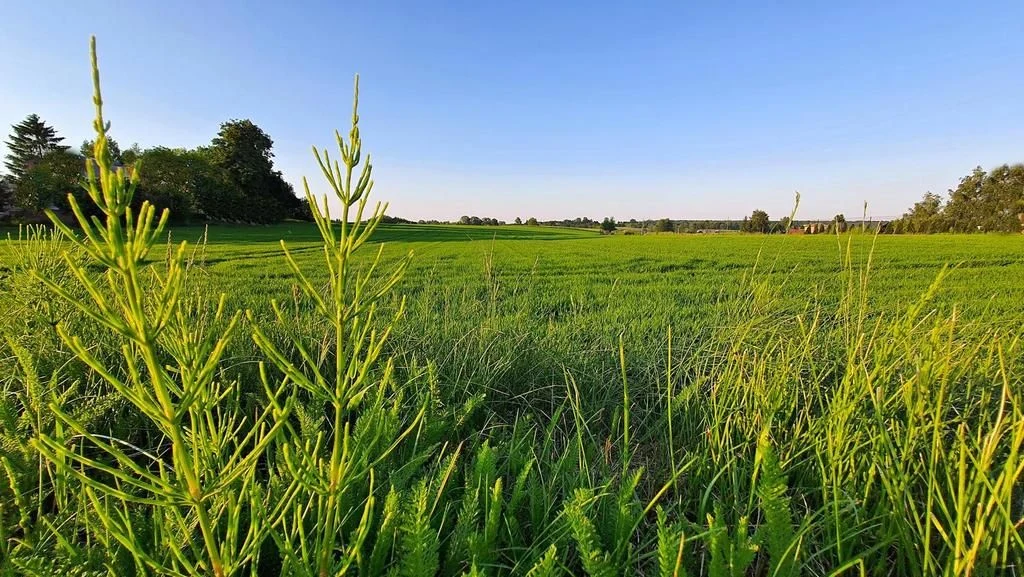 Działka 30ar nieopodal Lublina - Miłocin - 3