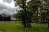Sprzedam działkę komercyjną! - 3