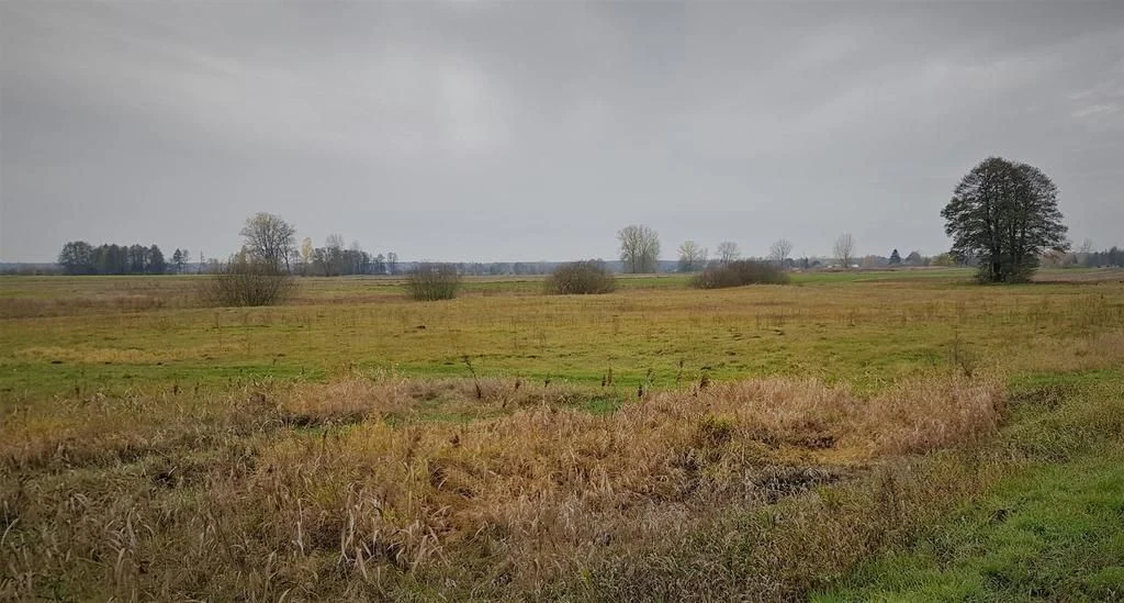 Samoklęski kol. Pierwsza - działka rolna - 3