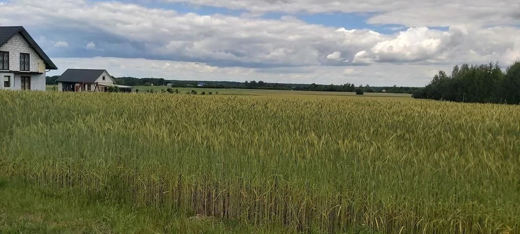 Piękna działka budowlana w Starościnie!!!