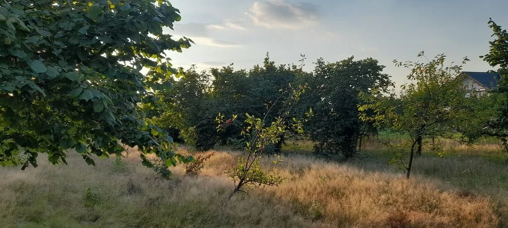 Ładna, uzbrojona działka pod lasem-33a-Wilczopole - 4