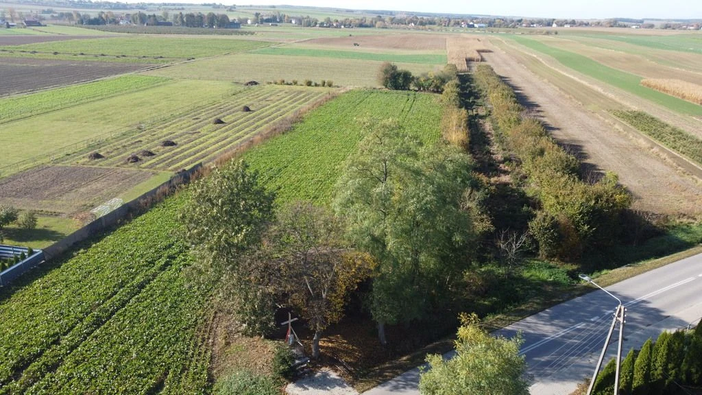 Działka budowlana Krasnystaw ul. Kościuszki 42,8ar - 5
