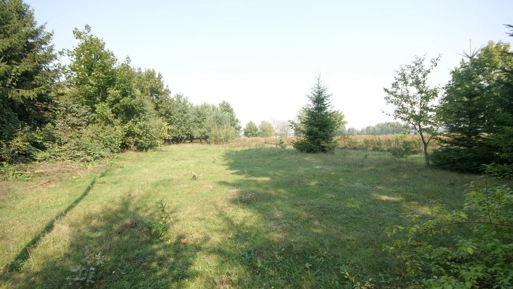 Działka 16 ar w miejsc. Gołąb pow. Lubartowski - 101186951.jpg