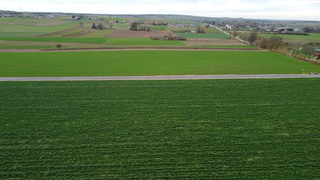 Działka, Zalesie, Wilkołaz, 11 ar, budowlana - 4