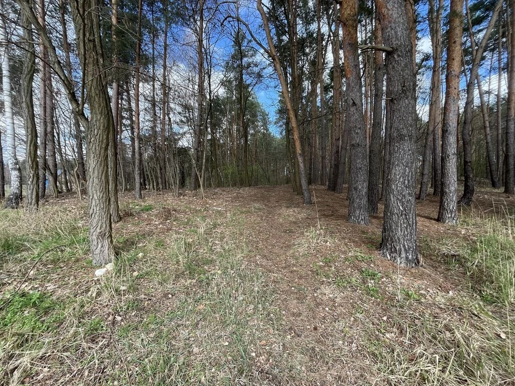 Atrakcyjna działka 2618 m2 w Oblasach-Księżę. - 2