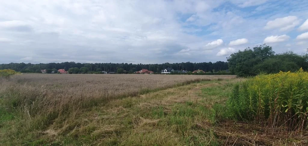 Piękna działka budowlana blisko lasu- 17ar-Świdnik - 4
