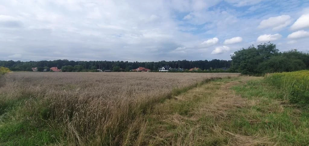 Piękna działka budowlana blisko lasu- 17ar-Świdnik - 2