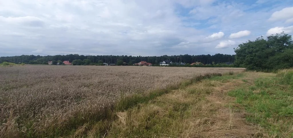 Piękna działka budowlana blisko lasu- 17ar-Świdnik - 3