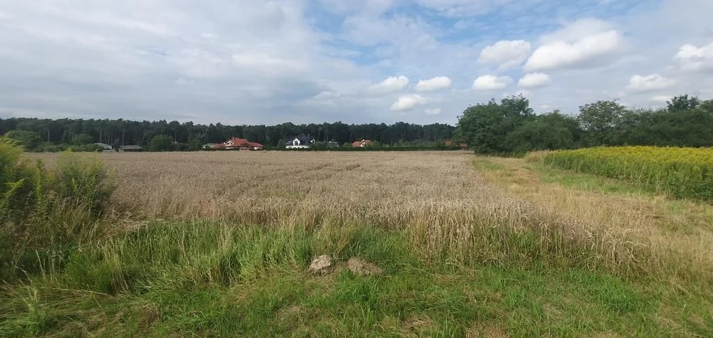 Piękna działka budowlana blisko lasu- 17ar-Świdnik - 5
