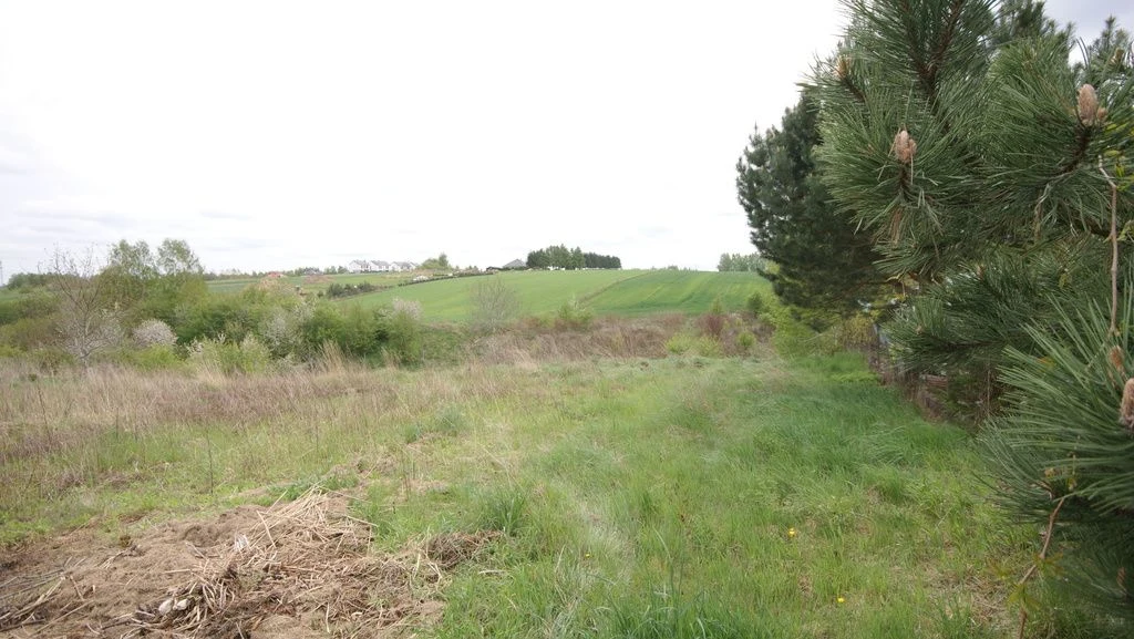 Duża działka rolna ok. 1 ha Jakubowice Konińskie - 97958352.jpg