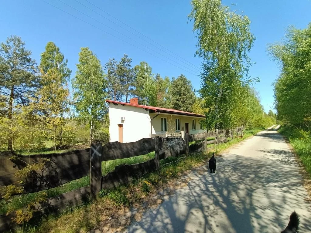 Dom na działce 4883 m2 z WZ w Gródku. - 98659408.jpg