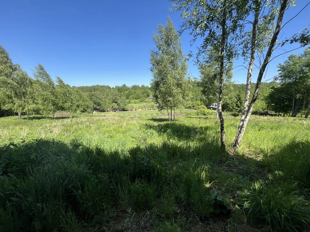 Działka 3580 m2 w Kazimierzu Dolnym 4 km od rynku. - 5