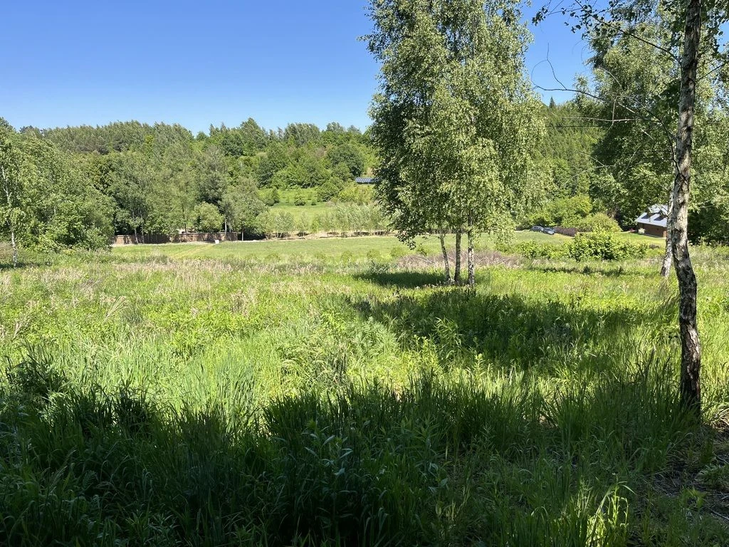 Działka 3580 m2 w Kazimierzu Dolnym 4 km od rynku. - 4