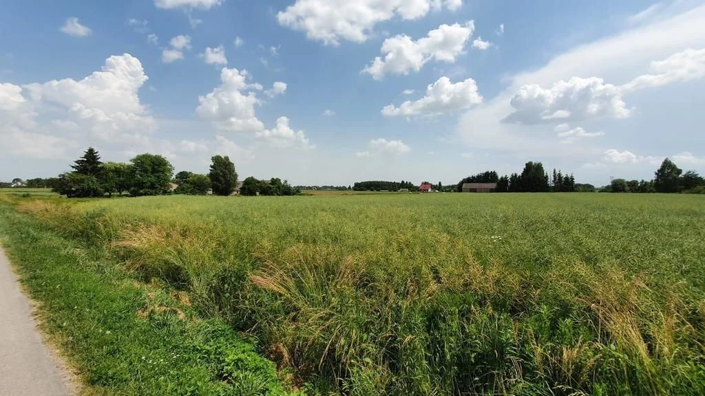 Piękna, duża działka w spokojnej okolicy - Pólko - 2