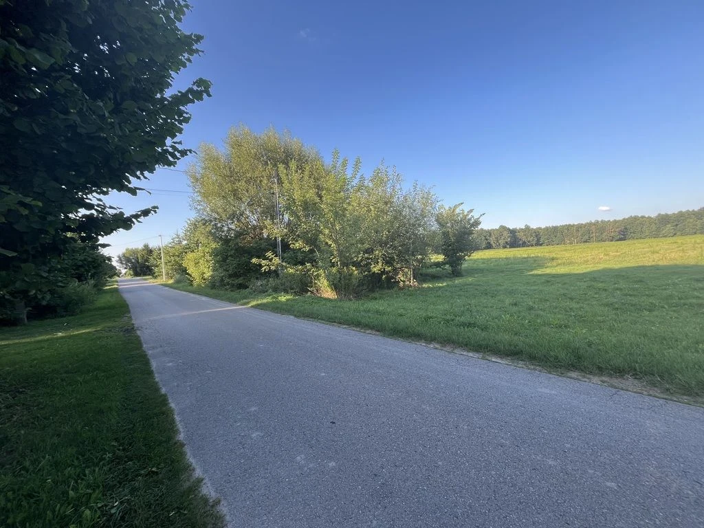 Duża działka 2,9 ha w Jabłonowie gm. Policzna. - 5