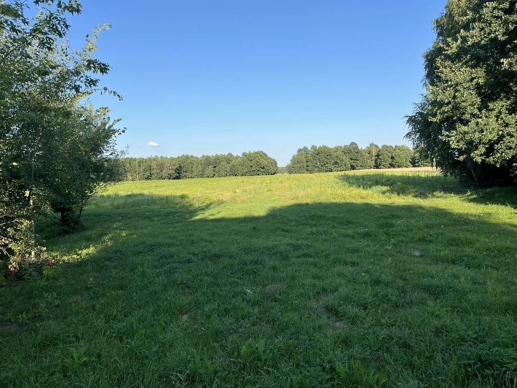 Duża działka 2,9 ha w Jabłonowie gm. Policzna. - 4
