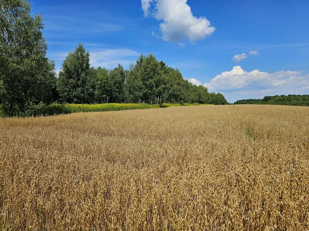 Karczmiska Drugie - ponad 33ar działki rolnej - 5