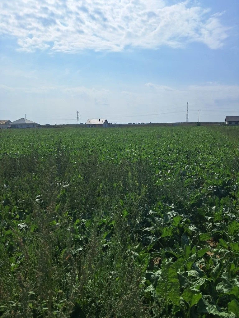 Uzbrojona działka. Gm. Puchaczów - 100639709.jpg