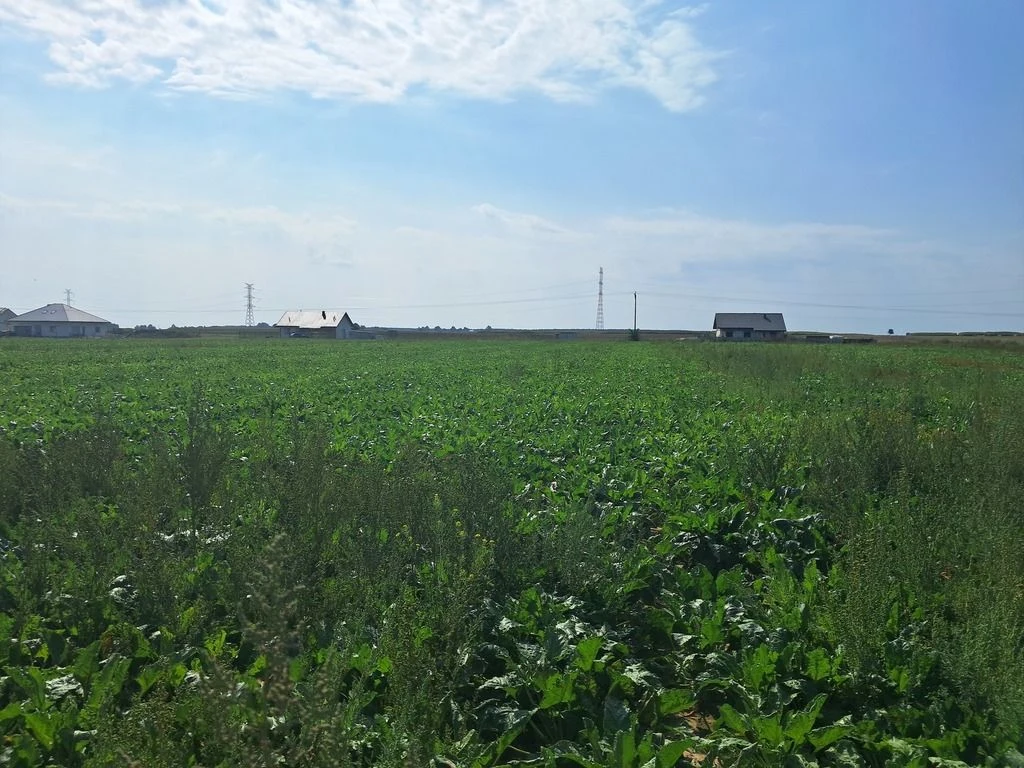 Uzbrojona działka. Gm. Puchaczów - 3