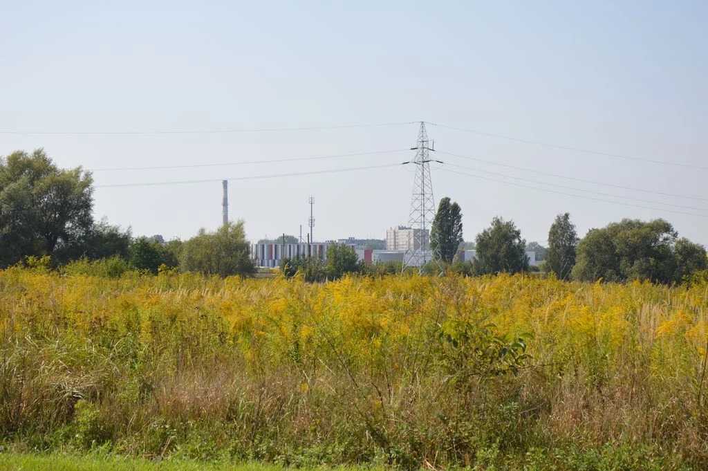 Działka Lublin-Zadębie inwestycyjna/budowlana - 5