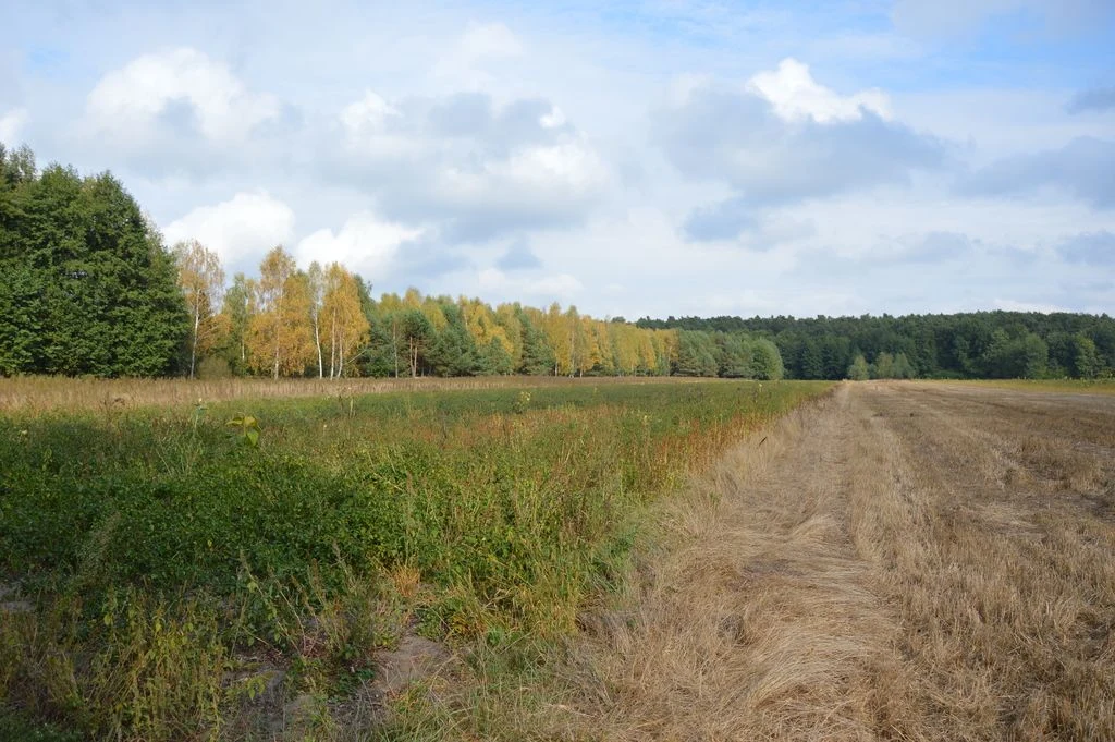 Działka, Klarów, 1,09 ha - 100978566.jpg