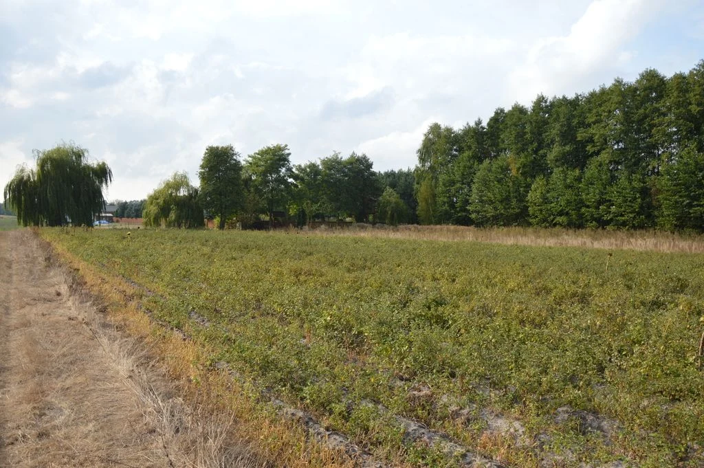 Działka, Klarów, 1,09 ha - 2