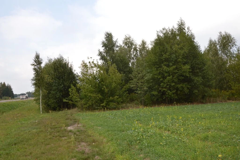 Działka 1.77 ha w Brzeźnicy Leśnej pow. Lubartów. - 4