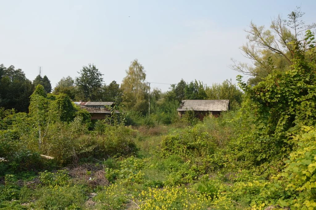 Działka budowlana, Urzędów, centrum, 25 a - 4