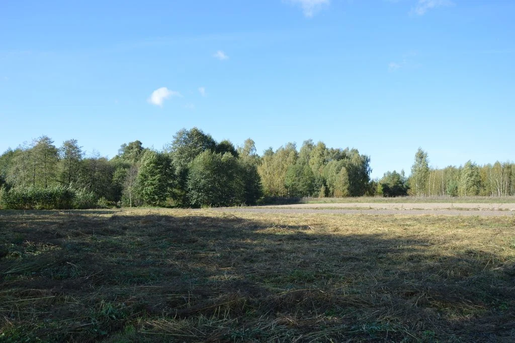 Działka Baranówka 21 a, tylko 76 zł/m2! - 4