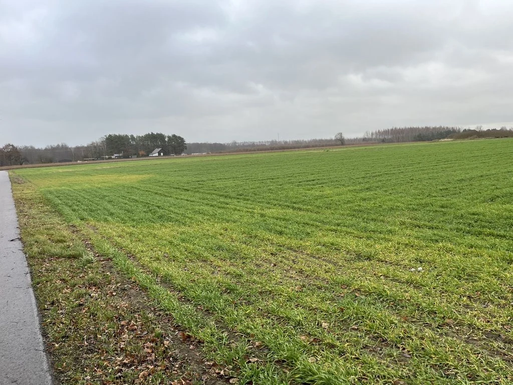 Działka budowlana gm. Przyłęk mazowieckie - 4