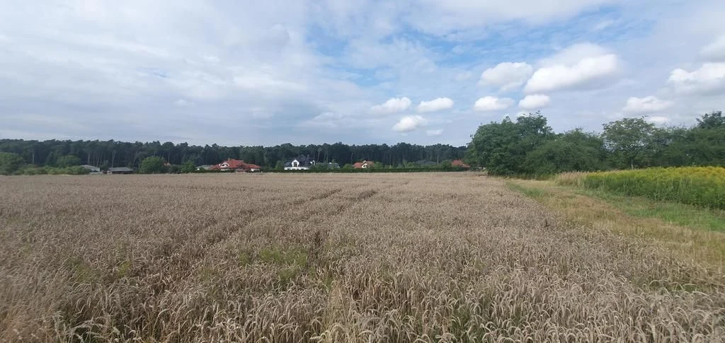 Piękna działka budowlana blisko lasu- 17ar-Świdnik - 103492747.jpg