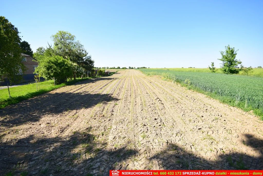 Działka rolno-budowlana bezpośrednio przy lesie. - 4