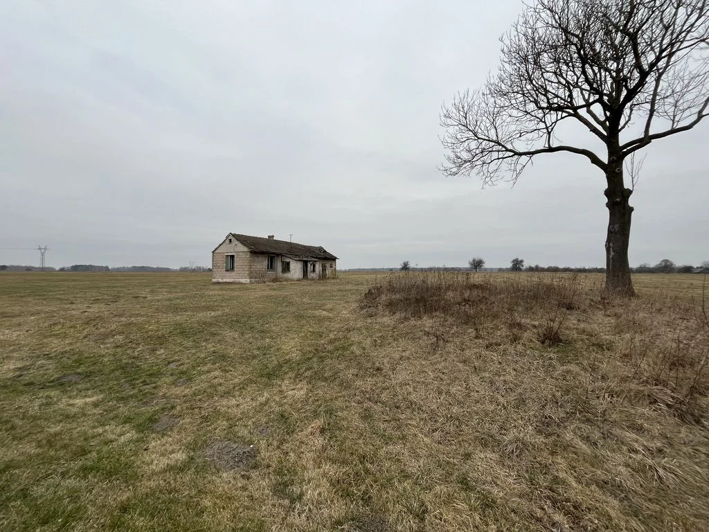 Działka 6462 z widokiem na muzeum w Czarnolesie - 5