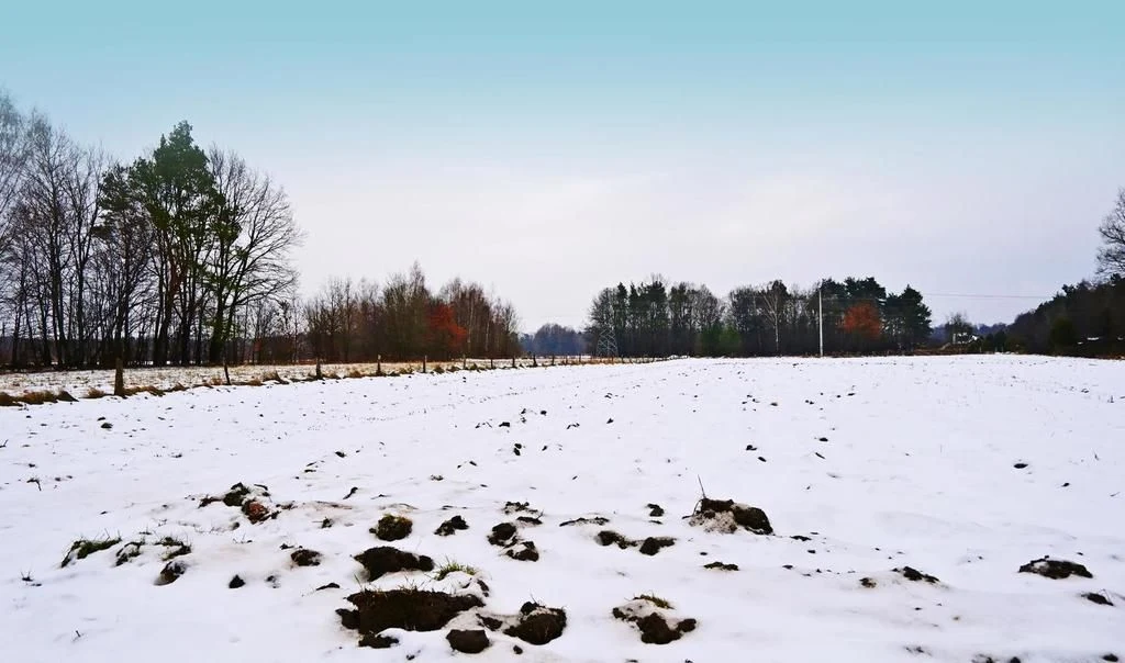 Działka pod Kazimierzem-16ar spokojna okolica!! - 3