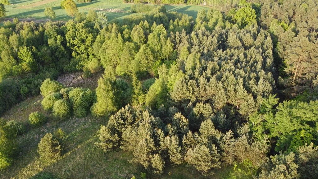 Działka o  pow. 1,63 ha w Karolowie gm. Chotcza. - 5