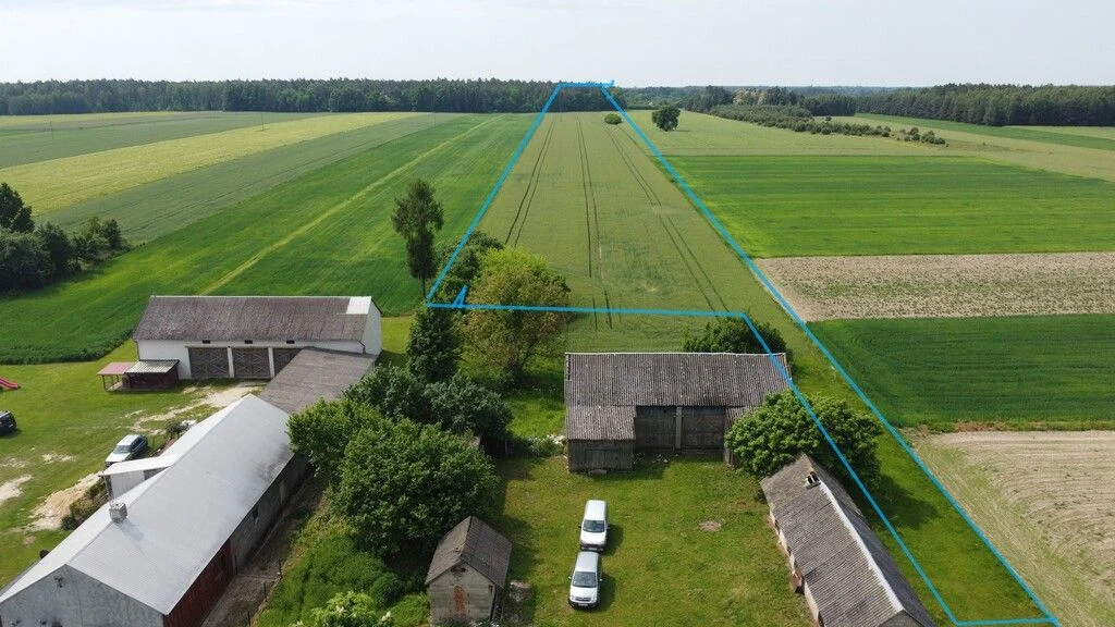 Działka rolna 3 ha w Jasieńcu Soleckim (zwoleński) - 106088903.jpg