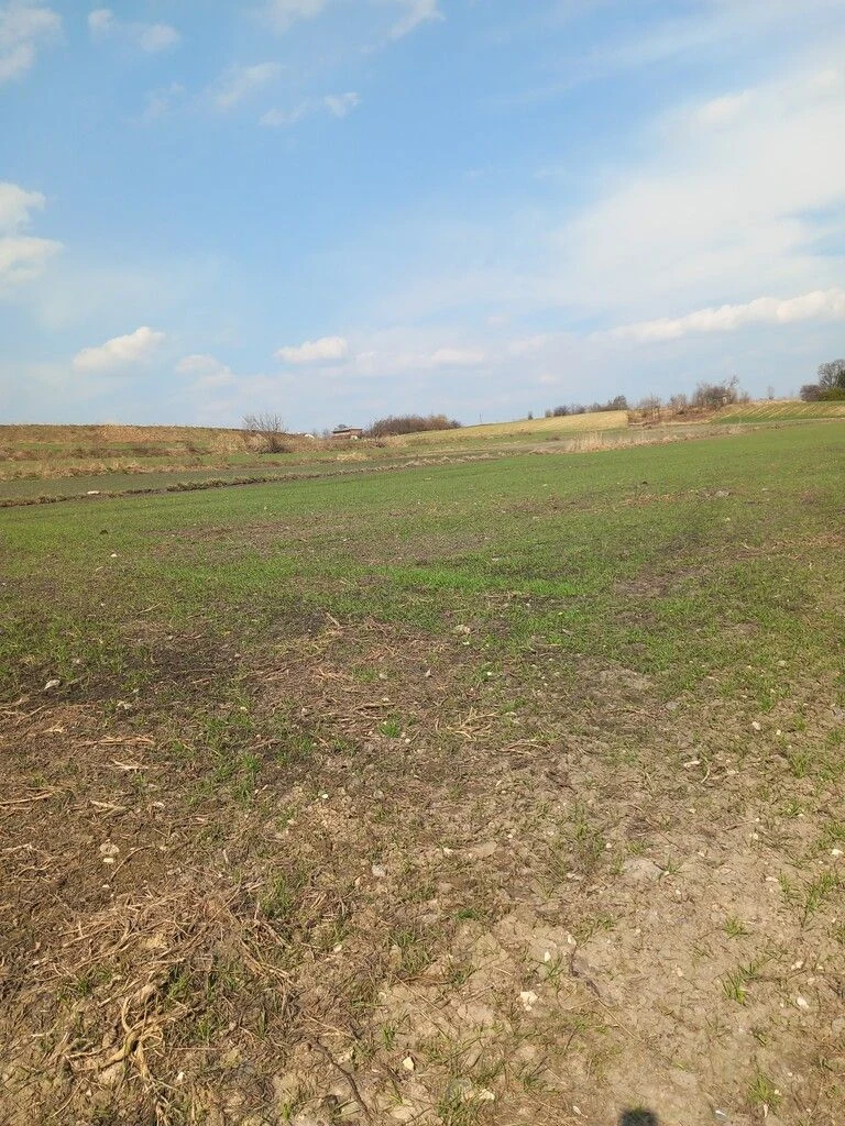 Jakubowice Murowane, gm. Wólka-działka 6600m2 - 107130496.jpg